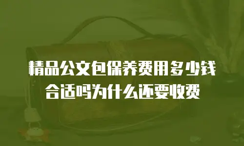 精品公文包保养费用多少钱合适吗为什么还要收费