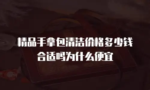 精品手拿包清洁价格多少钱合适吗为什么便宜