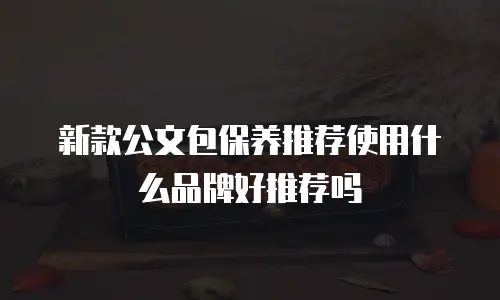 新款公文包保养推荐使用什么品牌好推荐吗