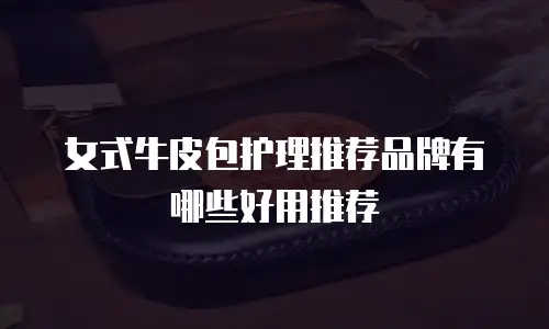 女式牛皮包护理推荐品牌有哪些好用推荐