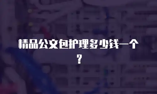 精品公文包护理多少钱一个？