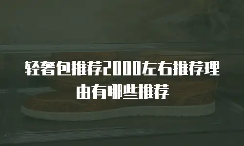 轻奢包推荐2000左右推荐理由有哪些推荐