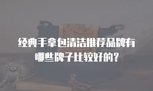 经典手拿包清洁推荐品牌有哪些牌子比较好的？