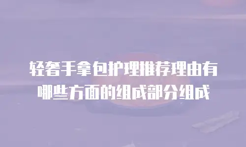 轻奢手拿包护理推荐理由有哪些方面的组成部分组成