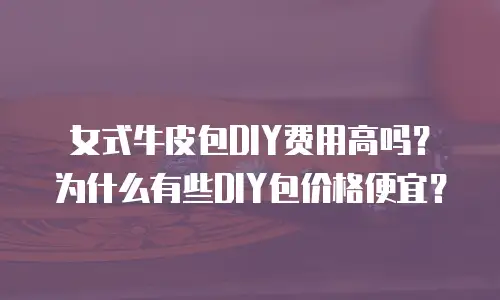 女式牛皮包DIY费用高吗？为什么有些DIY包价格便宜？