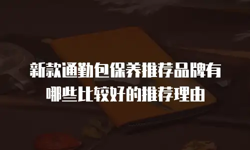 新款通勤包保养推荐品牌有哪些比较好的推荐理由