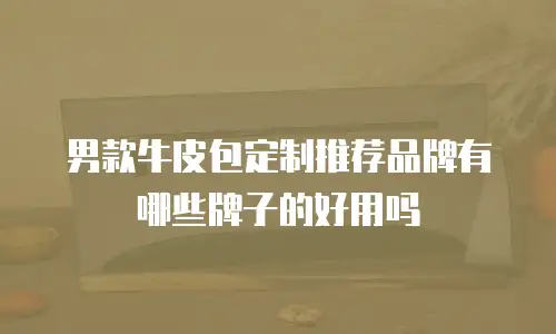 男款牛皮包定制推荐品牌有哪些牌子的好用吗