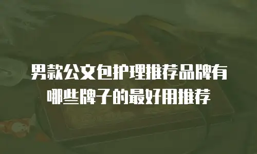 男款公文包护理推荐品牌有哪些牌子的最好用推荐