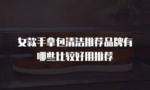 女款手拿包清洁推荐品牌有哪些比较好用推荐