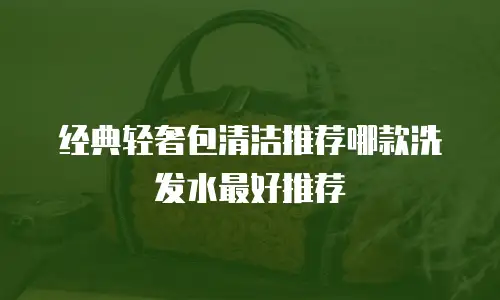 经典轻奢包清洁推荐哪款洗发水最好推荐
