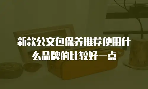 新款公文包保养推荐使用什么品牌的比较好一点