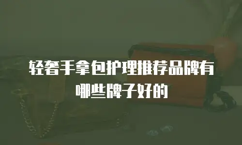 轻奢手拿包护理推荐品牌有哪些牌子好的