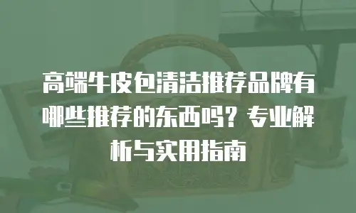 高端牛皮包清洁推荐品牌有哪些推荐的东西吗？专业解析与实用指南