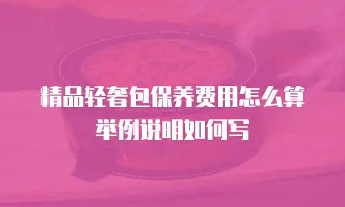 精品轻奢包保养费用怎么算举例说明如何写