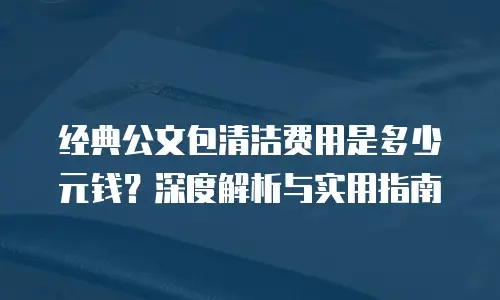 经典公文包清洁费用是多少元钱？深度解析与实用指南