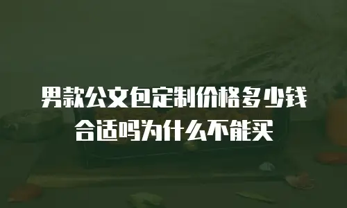 男款公文包定制价格多少钱合适吗为什么不能买