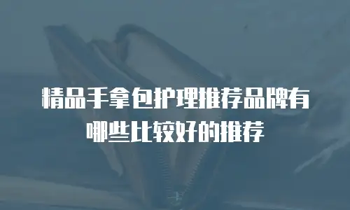 精品手拿包护理推荐品牌有哪些比较好的推荐