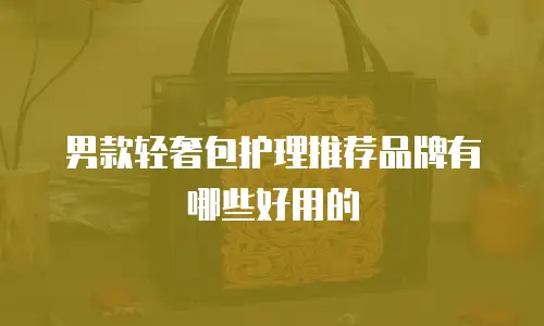 男款轻奢包护理推荐品牌有哪些好用的