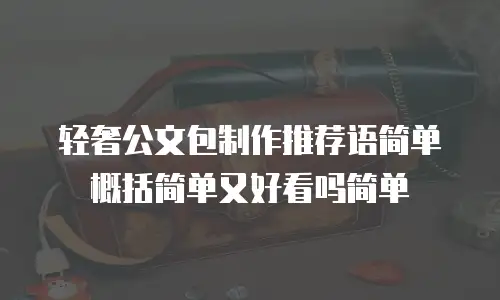 轻奢公文包制作推荐语简单概括简单又好看吗简单