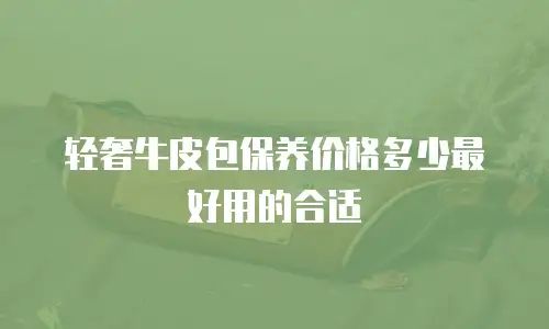 轻奢牛皮包保养价格多少最好用的合适
