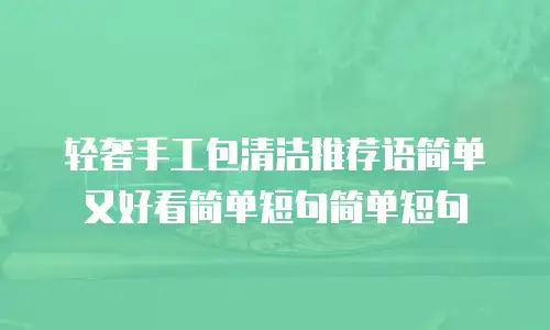 轻奢手工包清洁推荐语简单又好看简单短句简单短句