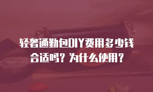 轻奢通勤包DIY费用多少钱合适吗？为什么使用？