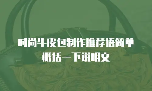 时尚牛皮包制作推荐语简单概括一下说明文
