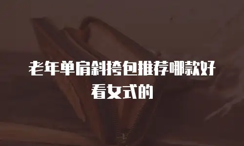 老年单肩斜挎包推荐哪款好看女式的