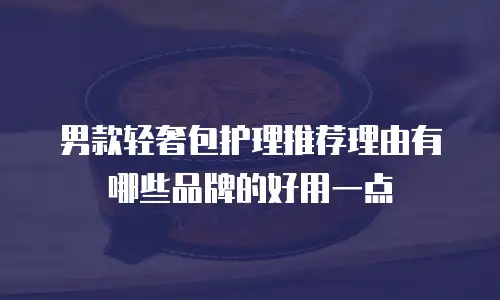 男款轻奢包护理推荐理由有哪些品牌的好用一点
