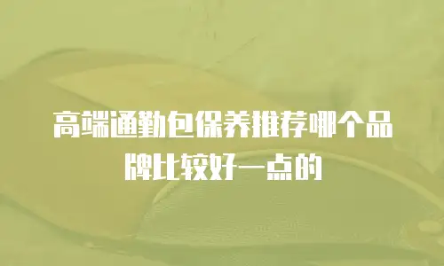 高端通勤包保养推荐哪个品牌比较好一点的