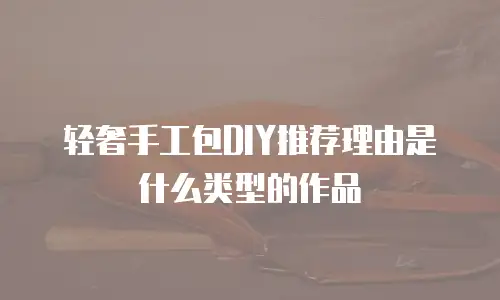 轻奢手工包DIY推荐理由是什么类型的作品
