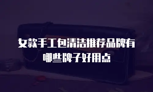 女款手工包清洁推荐品牌有哪些牌子好用点