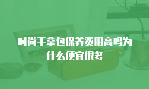 时尚手拿包保养费用高吗为什么便宜很多
