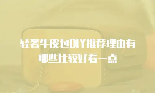 轻奢牛皮包DIY推荐理由有哪些比较好看一点