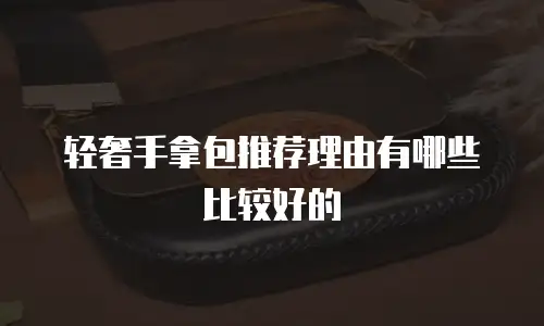 轻奢手拿包推荐理由有哪些比较好的