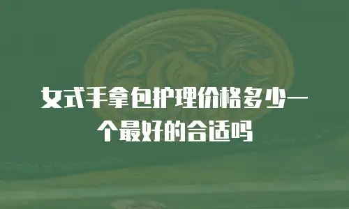 女式手拿包护理价格多少一个最好的合适吗
