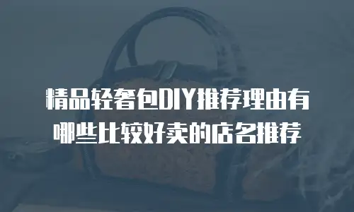精品轻奢包DIY推荐理由有哪些比较好卖的店名推荐