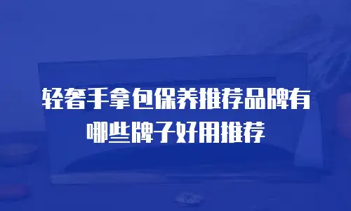 轻奢手拿包保养推荐品牌有哪些牌子好用推荐