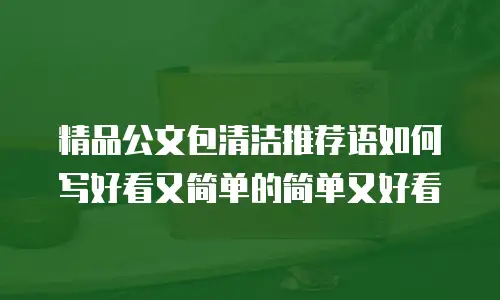 精品公文包清洁推荐语如何写好看又简单的简单又好看