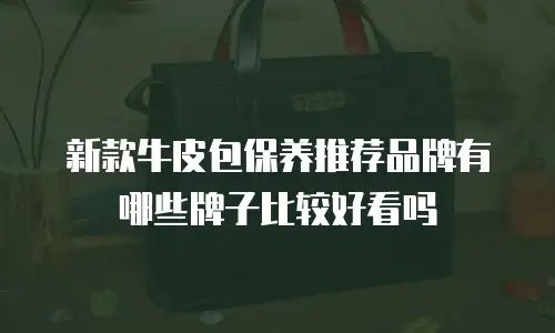 新款牛皮包保养推荐品牌有哪些牌子比较好看吗