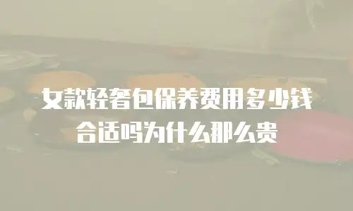 女款轻奢包保养费用多少钱合适吗为什么那么贵