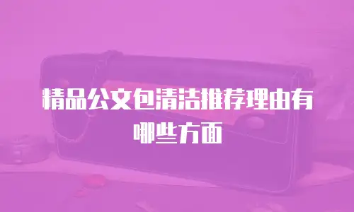 精品公文包清洁推荐理由有哪些方面