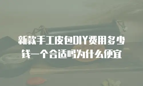 新款手工皮包DIY费用多少钱一个合适吗为什么便宜