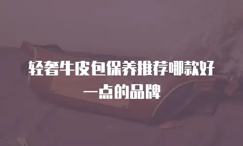 轻奢牛皮包保养推荐哪款好一点的品牌
