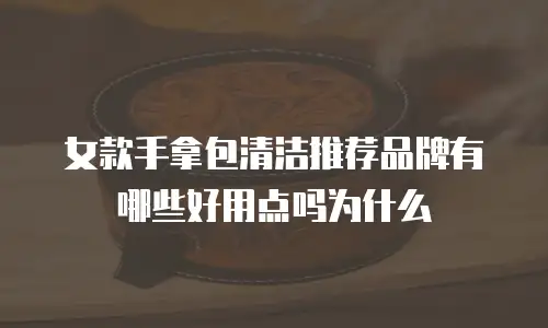 女款手拿包清洁推荐品牌有哪些好用点吗为什么