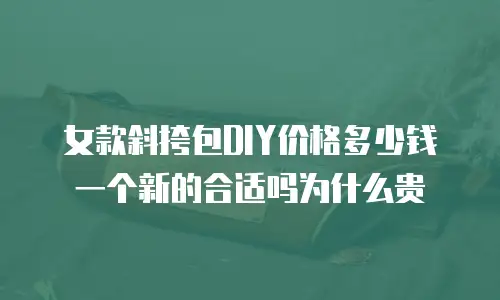 女款斜挎包DIY价格多少钱一个新的合适吗为什么贵