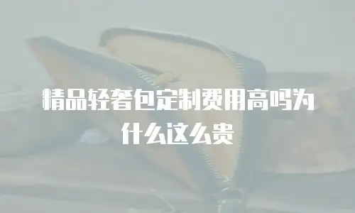 精品轻奢包定制费用高吗为什么这么贵