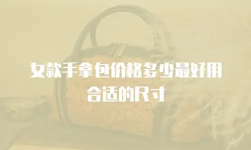 女款手拿包价格多少最好用合适的尺寸
