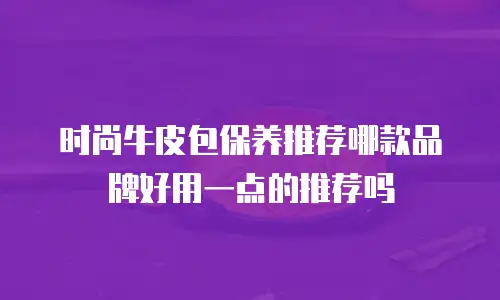 时尚牛皮包保养推荐哪款品牌好用一点的推荐吗