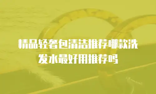 精品轻奢包清洁推荐哪款洗发水最好用推荐吗